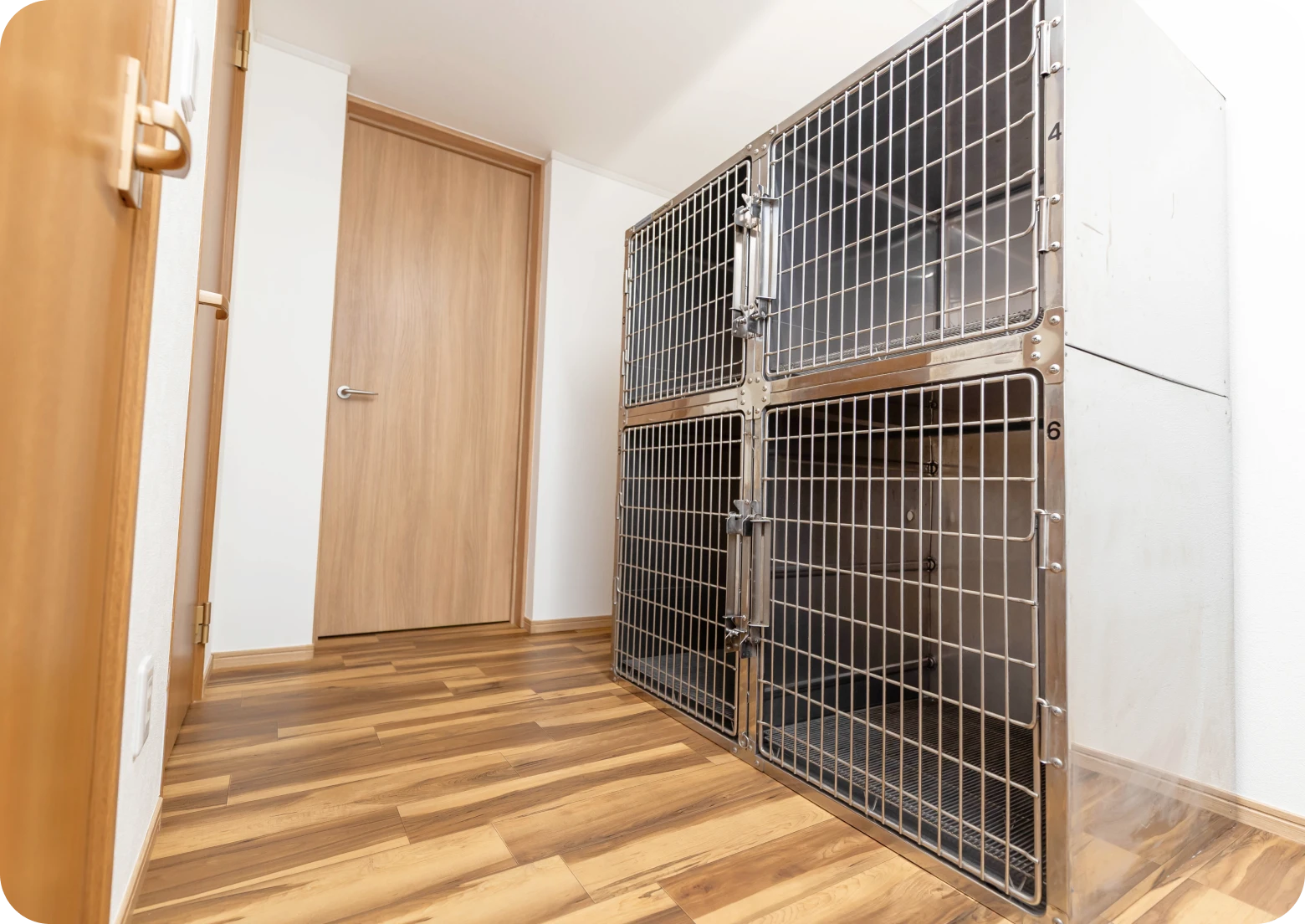入院用ケージ1