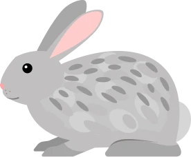 うさぎ